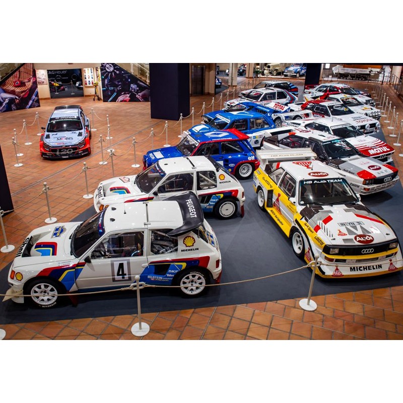 Direction assistée électrique voitures de Rallye