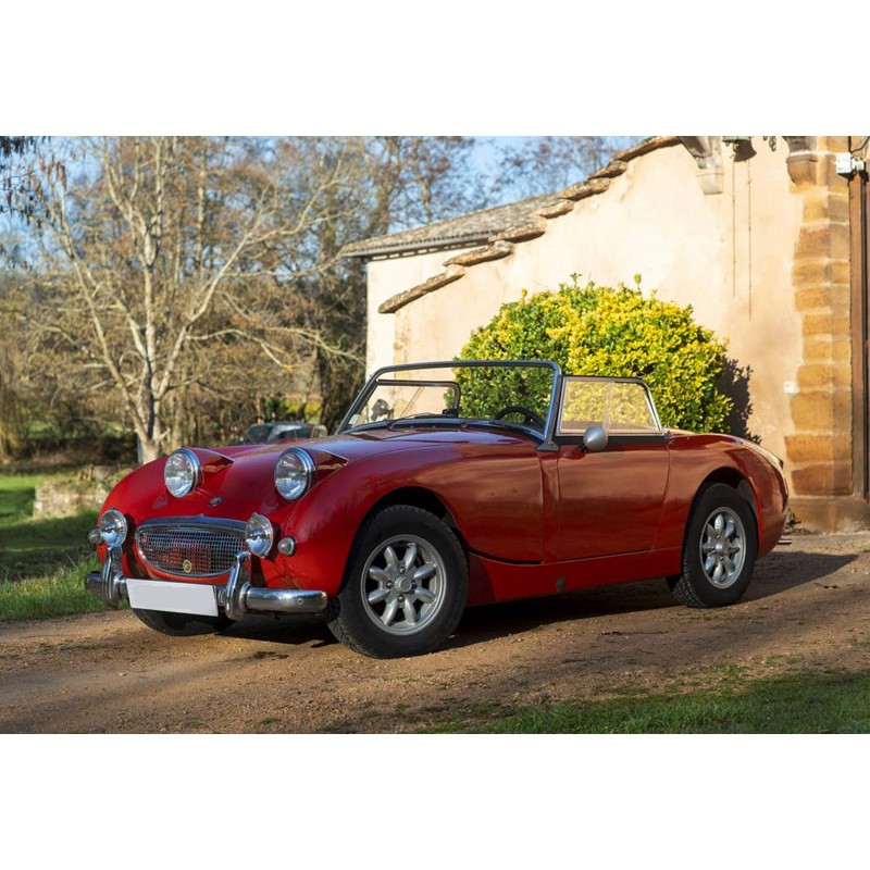 Bâche de voiture adaptée à Austin-Healey Sprite Mark I (ADO-13) housse de  voiture d'extérieur 100% Étanche € 190