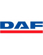 Directions assistées électriques pour DAF