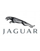 Directions assistées électriques pour Jaguar