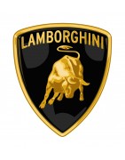 Directions assistées électriques pour Lamborghini