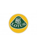 Directions assistées électriques pour Lotus