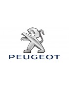 Direction assistée électrique pour Peugeot