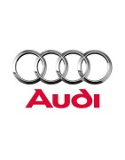 Directions assistées électriques pour Audi